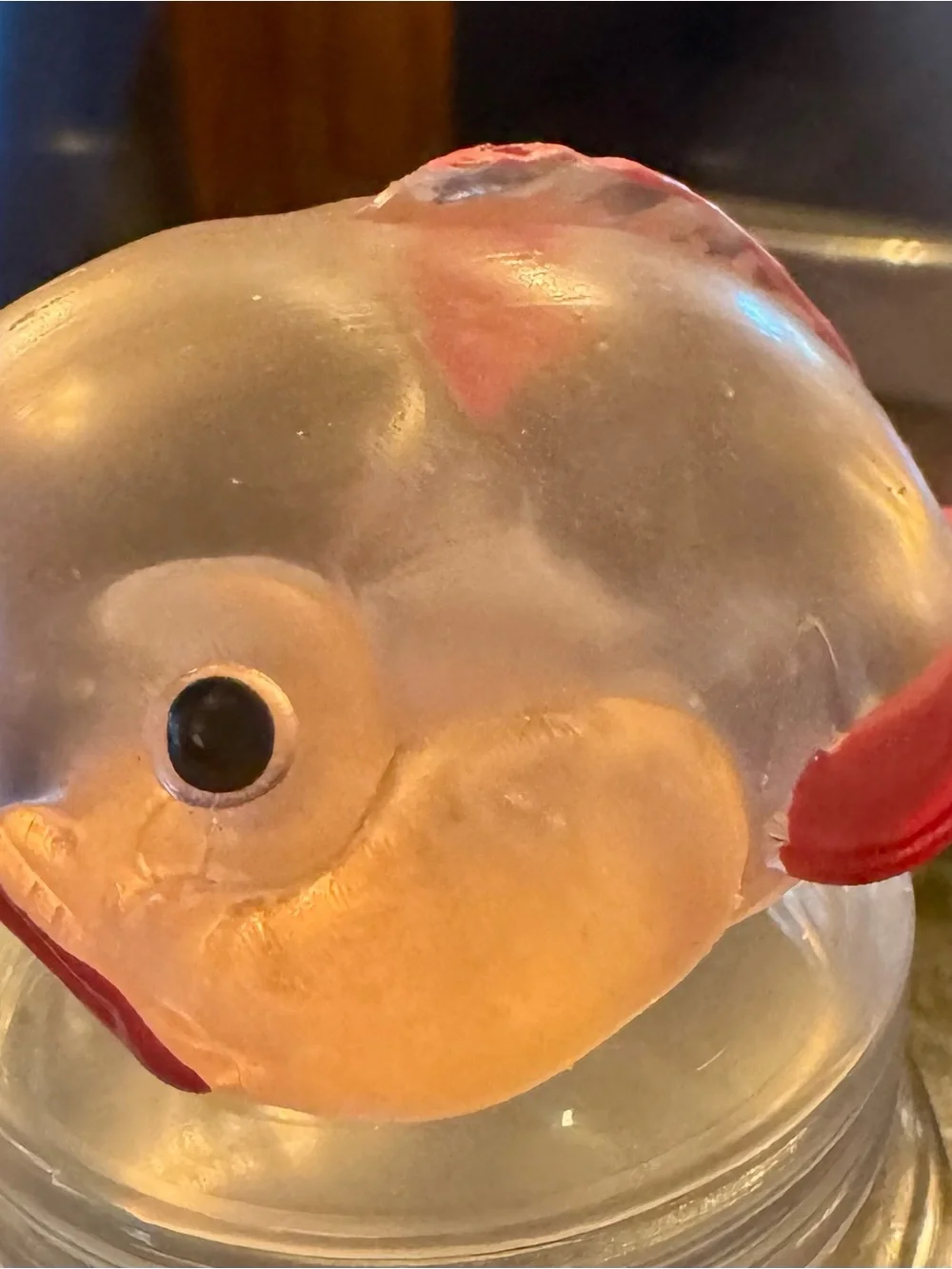 N/A clear fish
